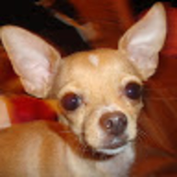 Meet your Posher, Lizette - Picture 1 of 1